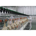 Broiler Slaughtering Line From China